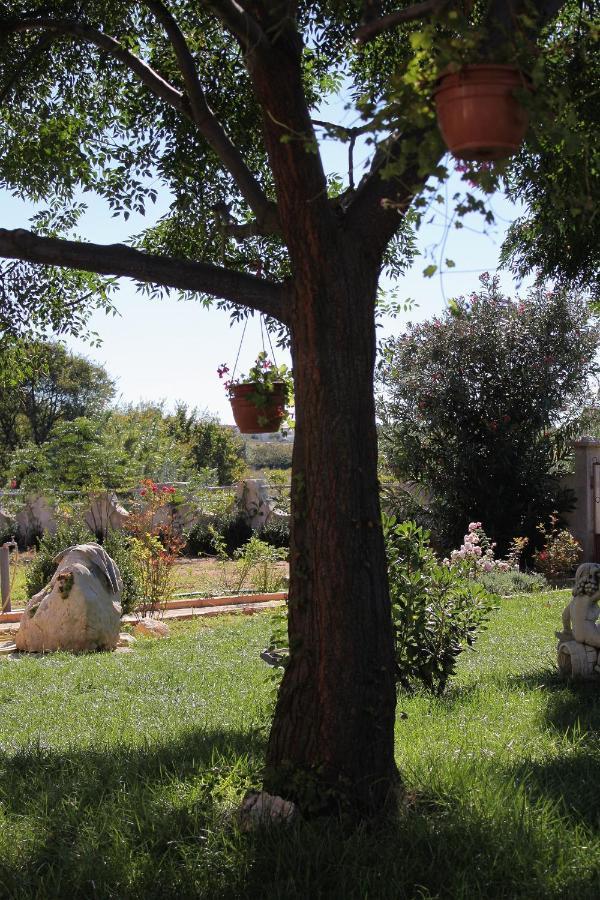 Apartments For Families With Children Privlaka, Zadar - 5747 ภายนอก รูปภาพ